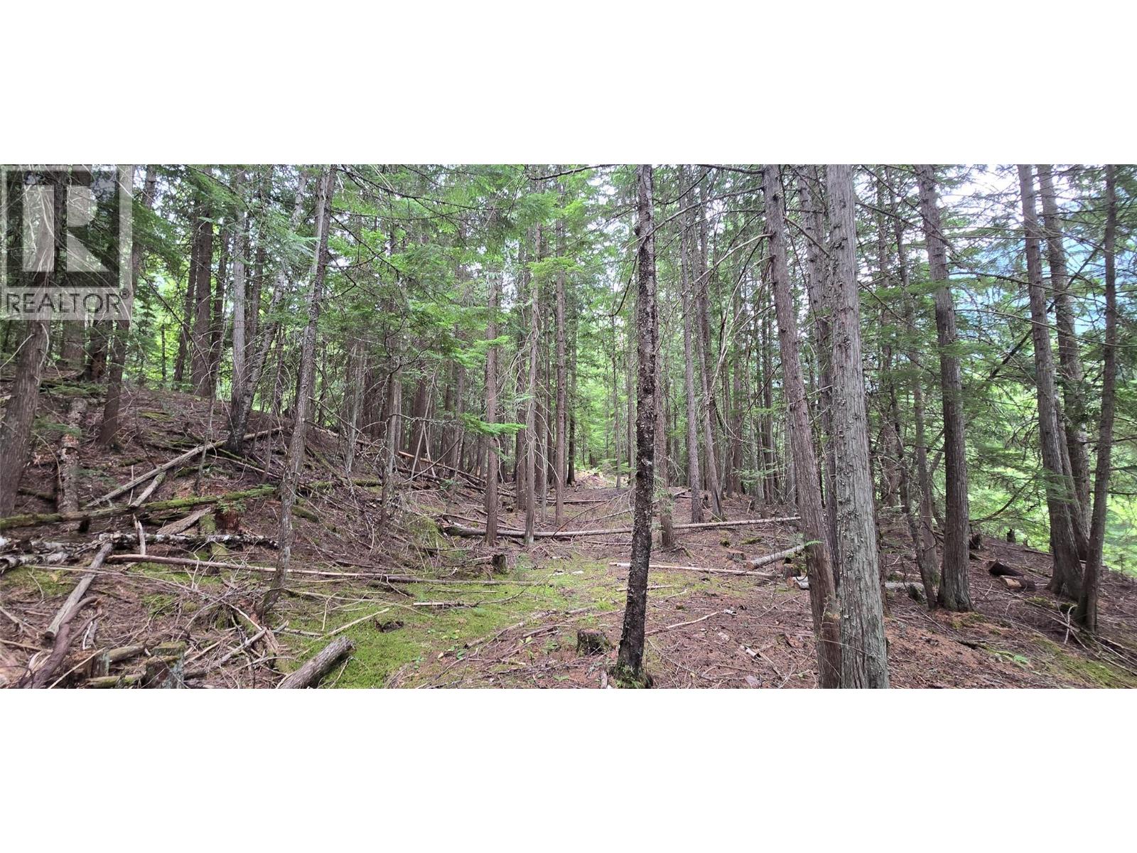 4560 6 Highway, Winlaw, British Columbia  V0G 2J0 - Photo 14 - 10397806