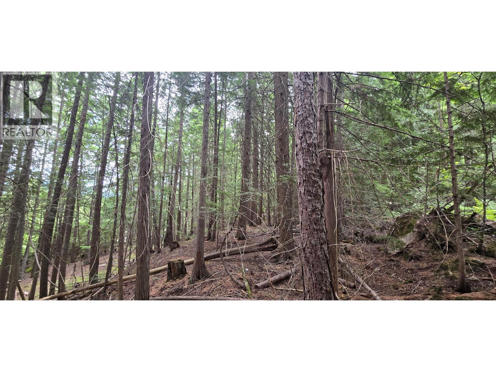 4560 6 Highway, Winlaw, British Columbia  V0G 2J0 - Photo 9 - 10397806