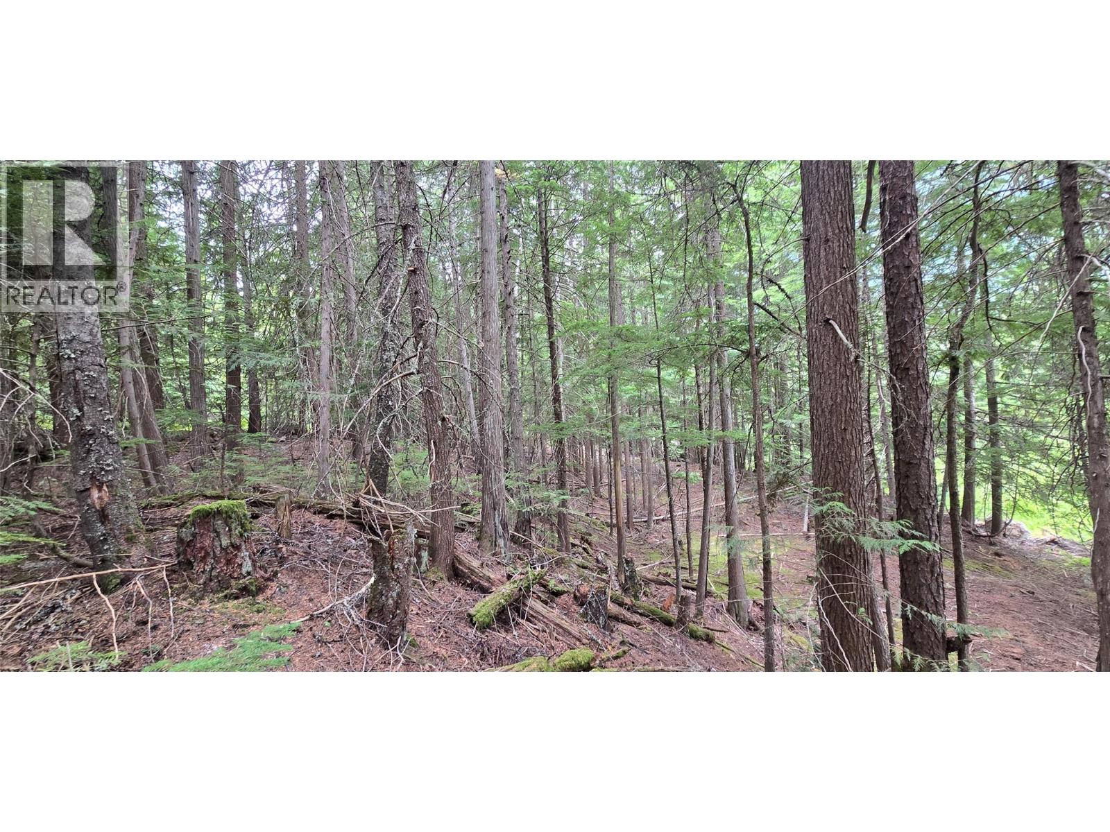 4560 6 Highway, Winlaw, British Columbia  V0G 2J0 - Photo 16 - 10397806