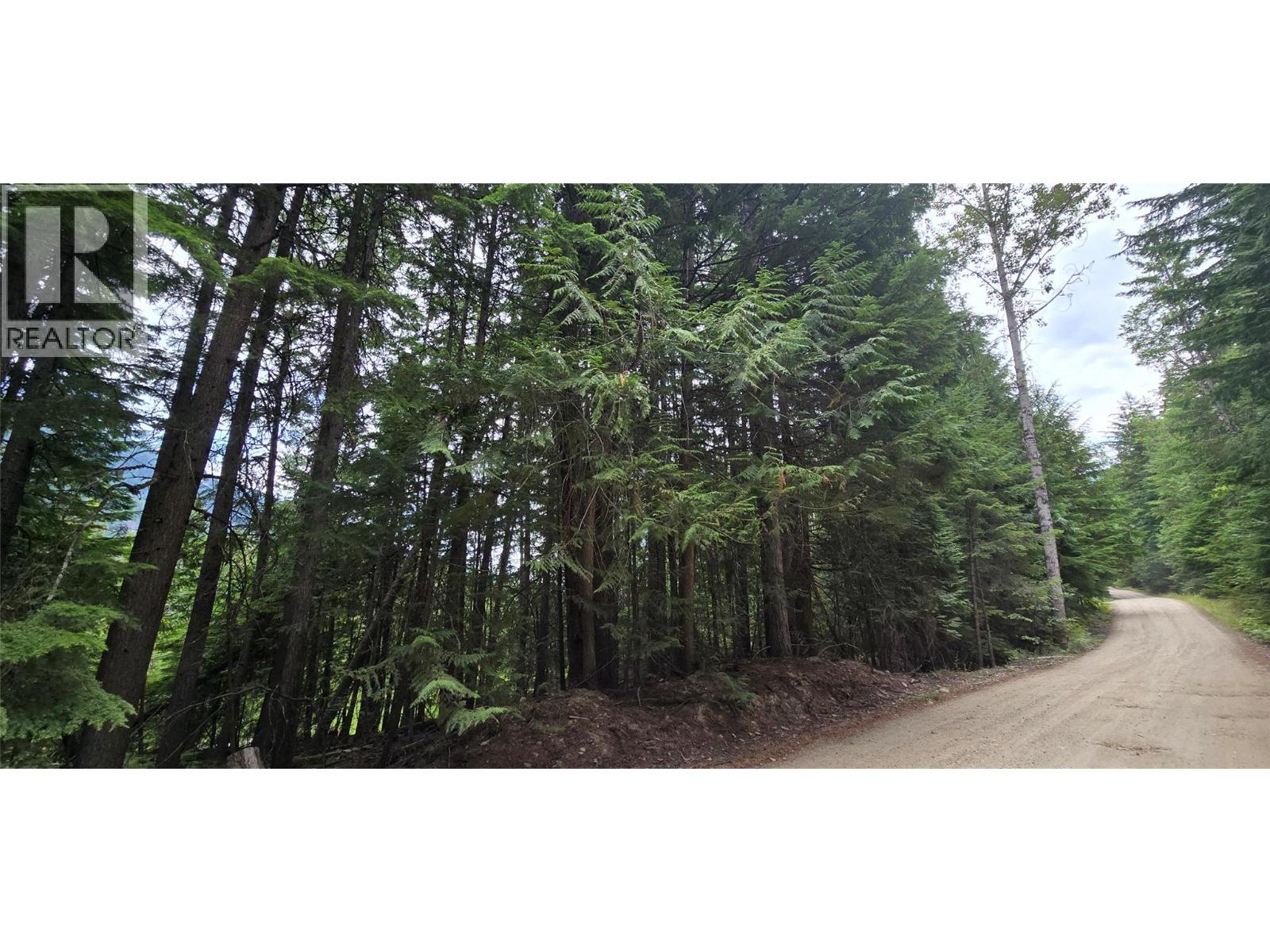 4560 6 Highway, Winlaw, British Columbia  V0G 2J0 - Photo 4 - 10397806