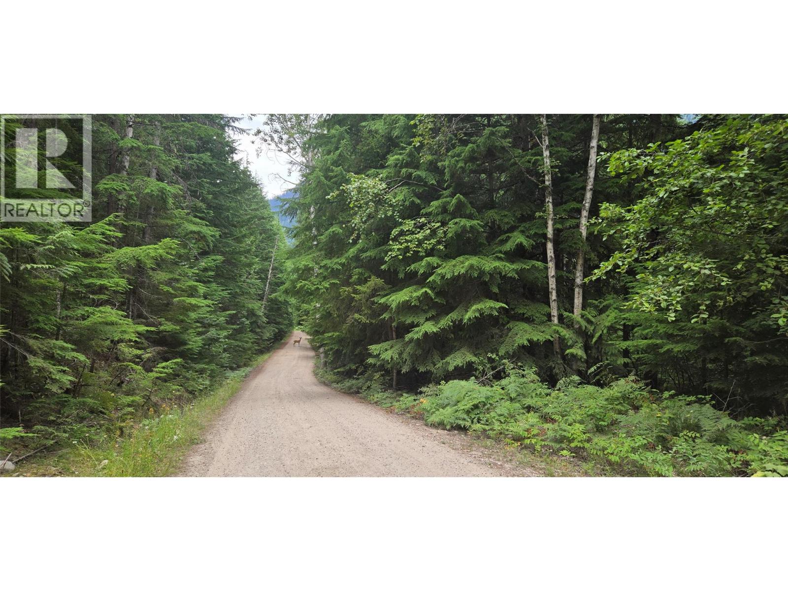 4560 6 Highway, Winlaw, British Columbia  V0G 2J0 - Photo 18 - 10397806