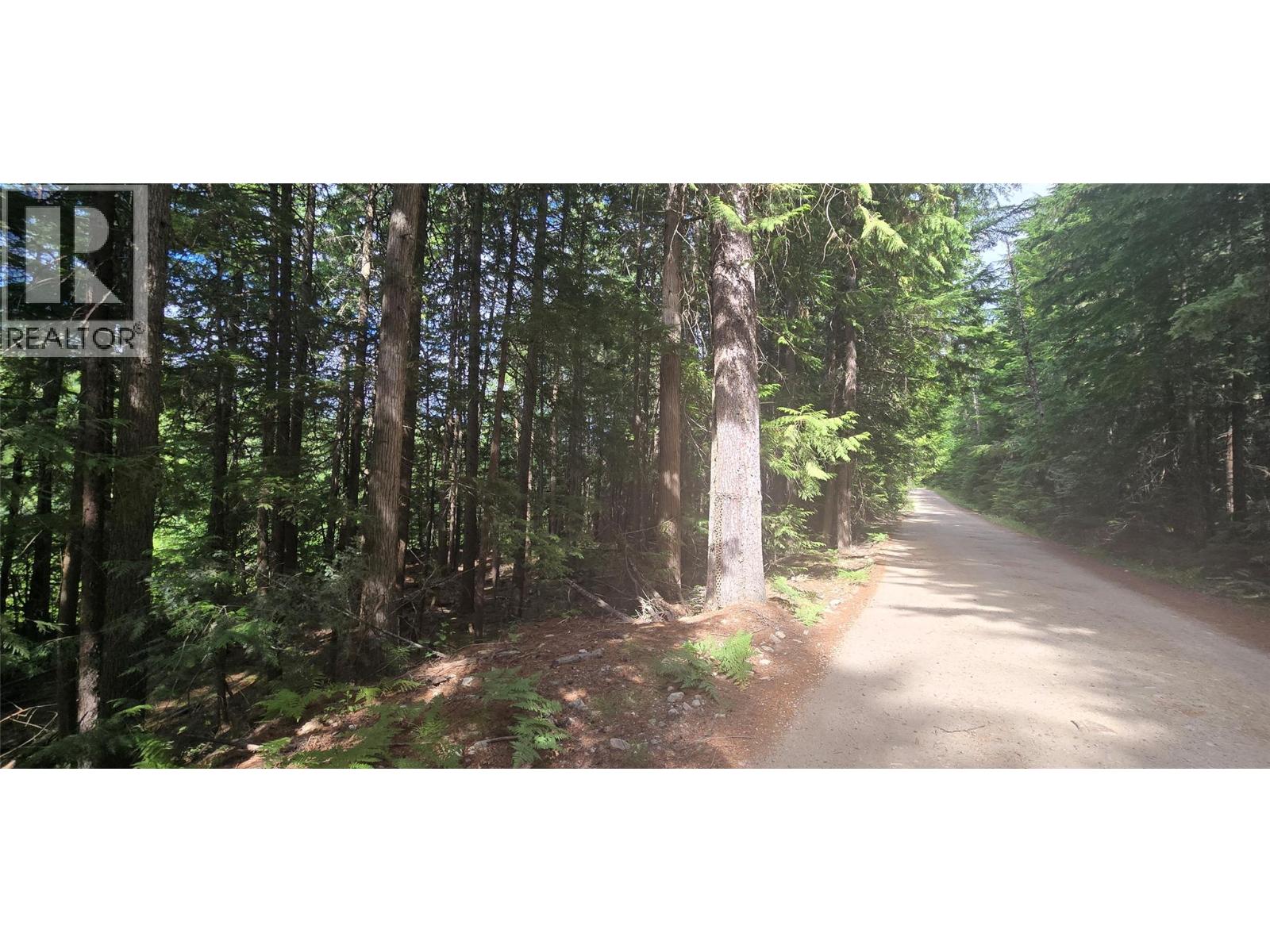 4560 6 Highway, Winlaw, British Columbia  V0G 2J0 - Photo 3 - 10397806