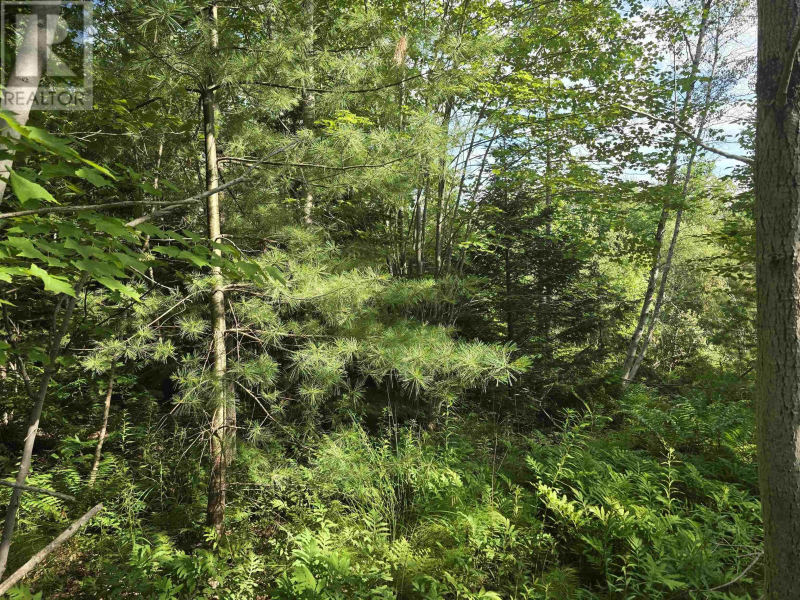 Lot 2 Highway 101, Ellershouse, Nova Scotia  B0N 2T0 - Photo 17 - 202618663