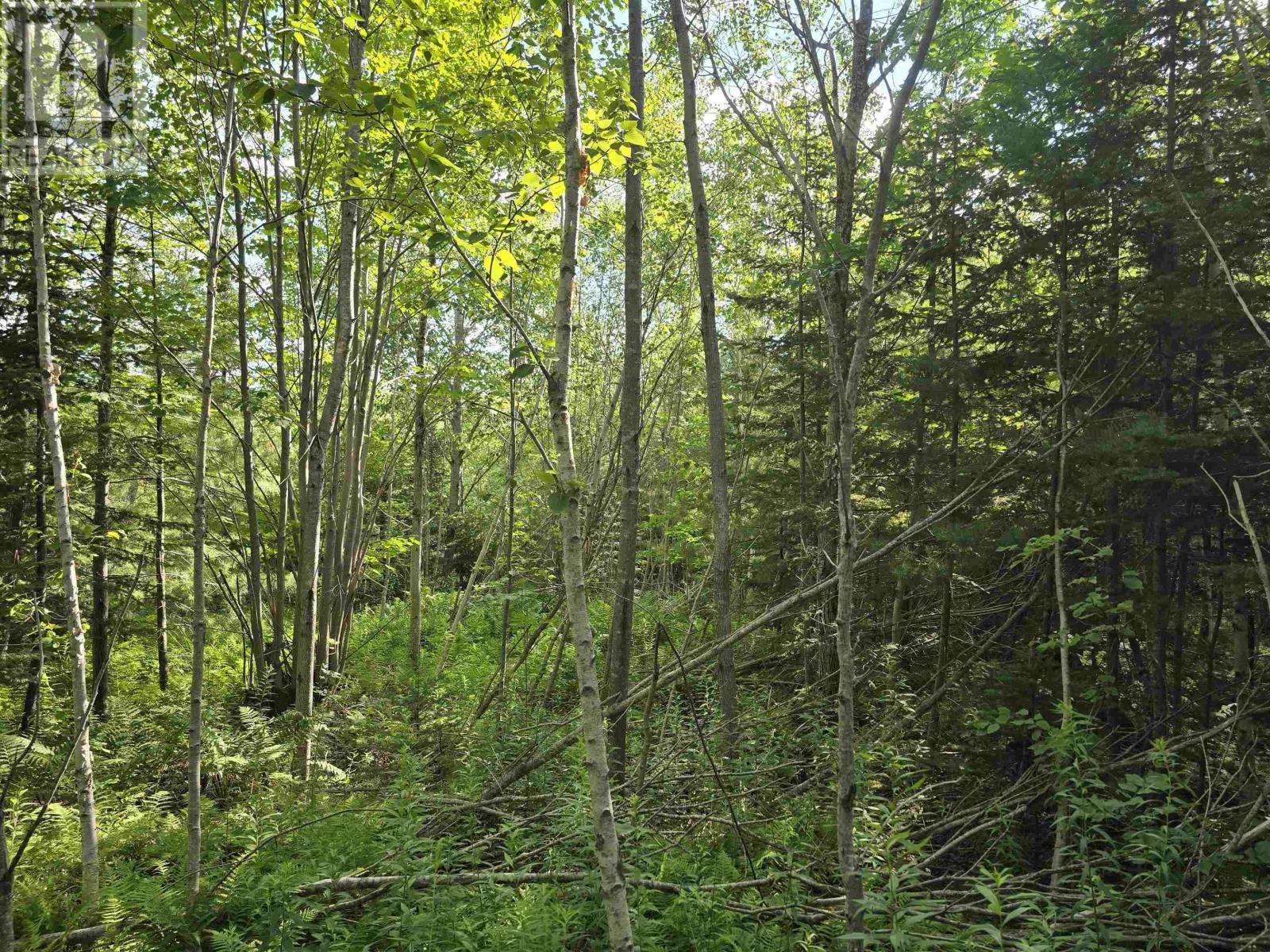 Lot 2 Highway 101, Ellershouse, Nova Scotia  B0N 2T0 - Photo 16 - 202618663