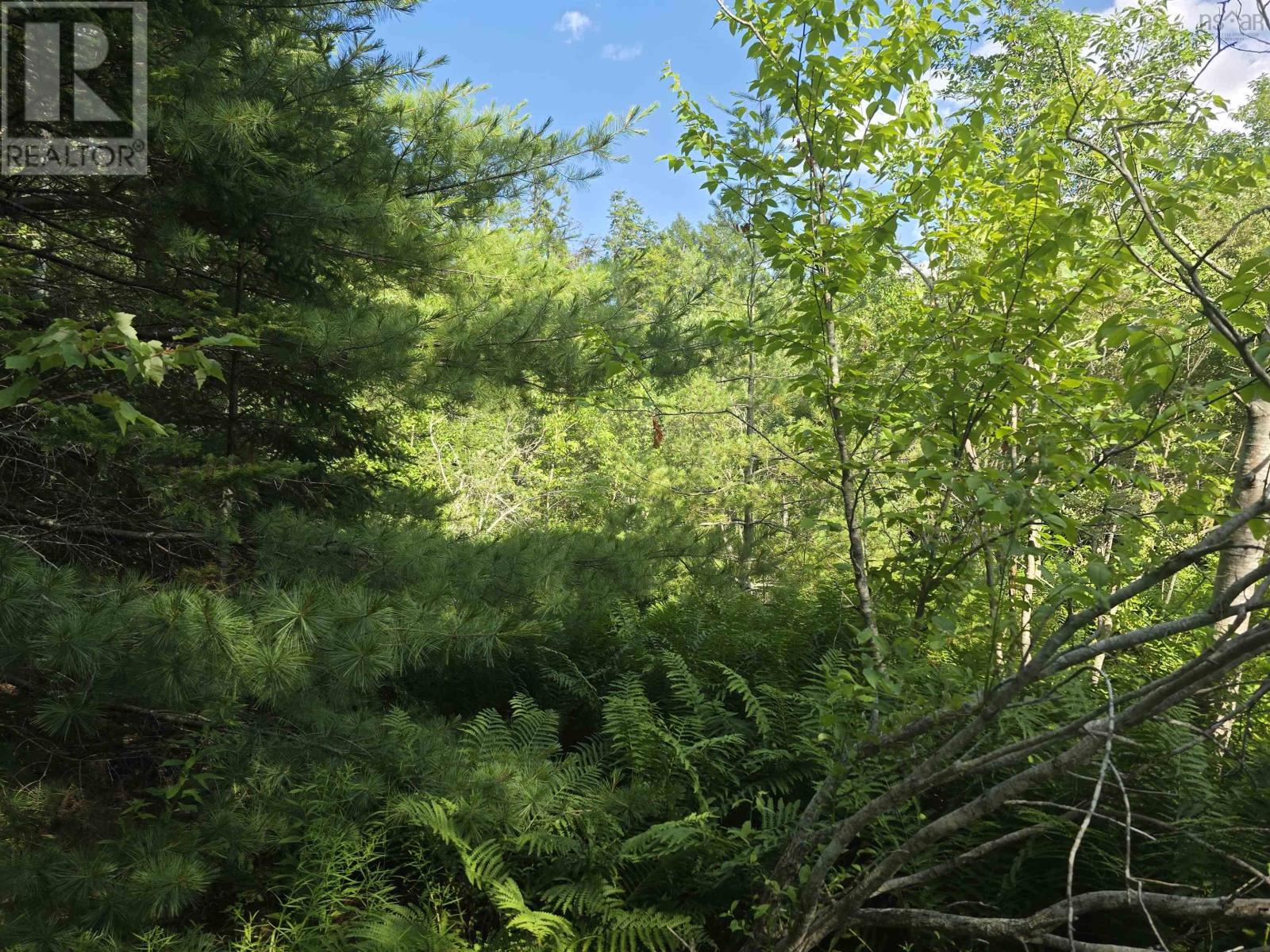 Lot 2 Highway 101, Ellershouse, Nova Scotia  B0N 2T0 - Photo 19 - 202618663