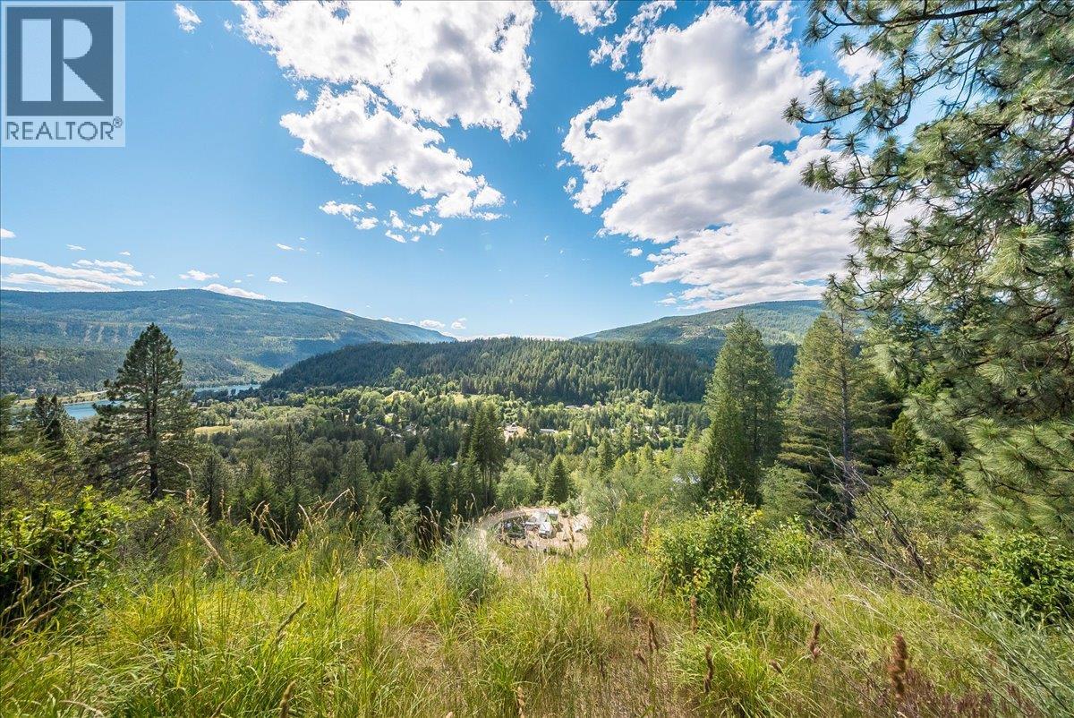 1385 Pass Creek Road, Castlegar, British Columbia  V1N 4S2 - Photo 19 - 10393109