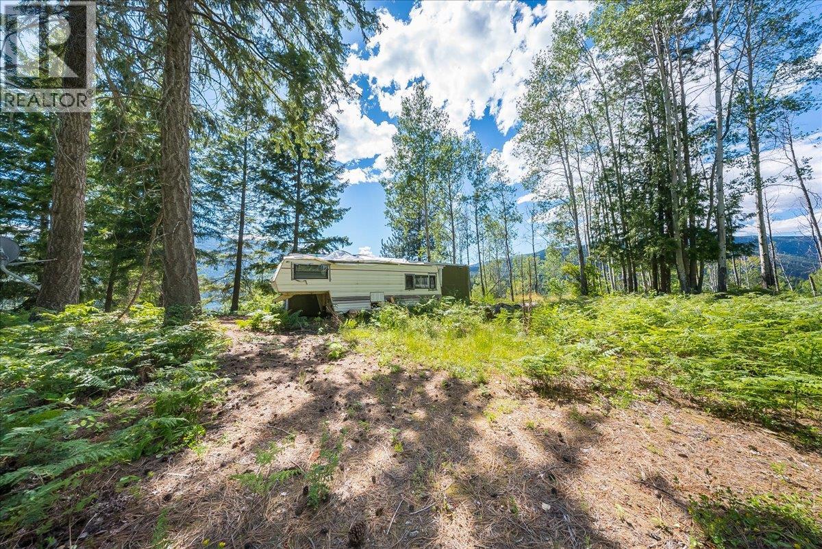 1385 Pass Creek Road, Castlegar, British Columbia  V1N 4S2 - Photo 11 - 10393109