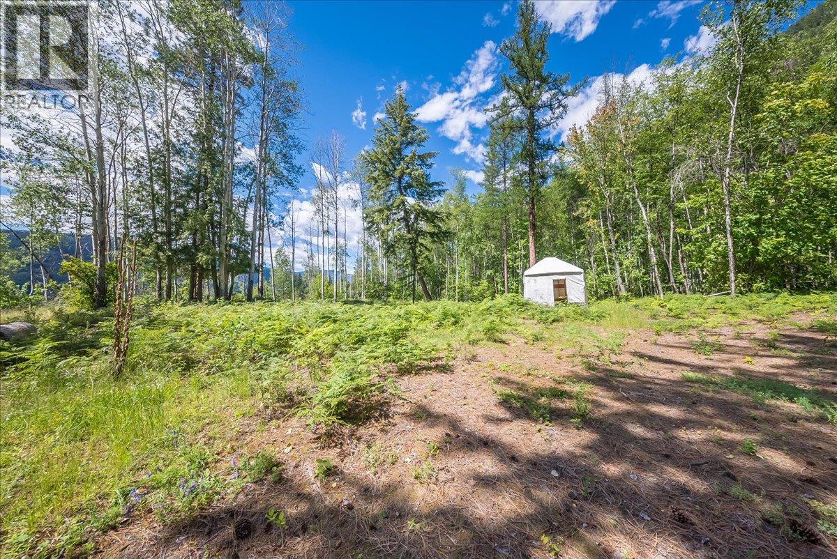 1385 Pass Creek Road, Castlegar, British Columbia  V1N 4S2 - Photo 12 - 10393109