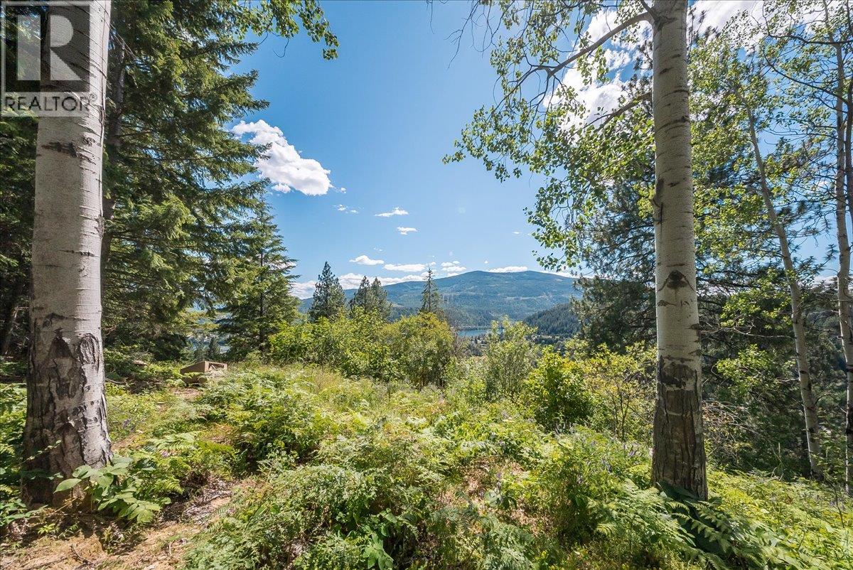 1385 Pass Creek Road, Castlegar, British Columbia  V1N 4S2 - Photo 14 - 10393109