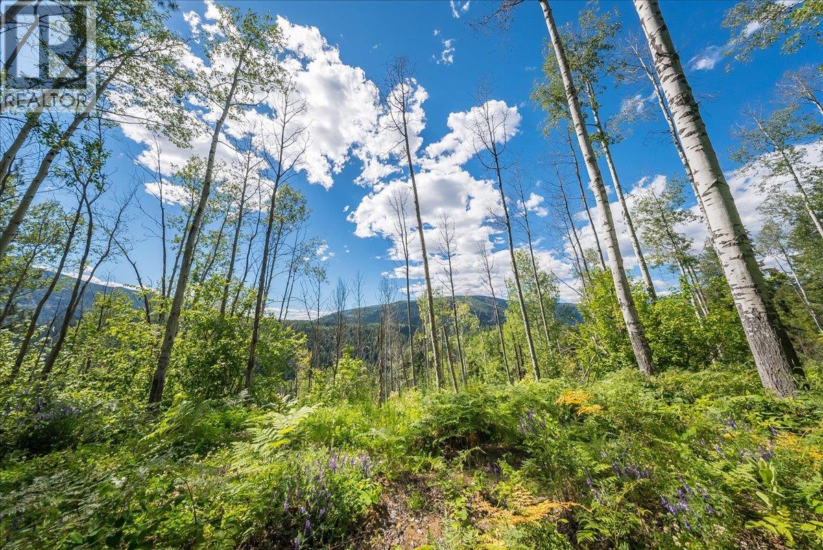 1385 Pass Creek Road, Castlegar, British Columbia  V1N 4S2 - Photo 15 - 10393109