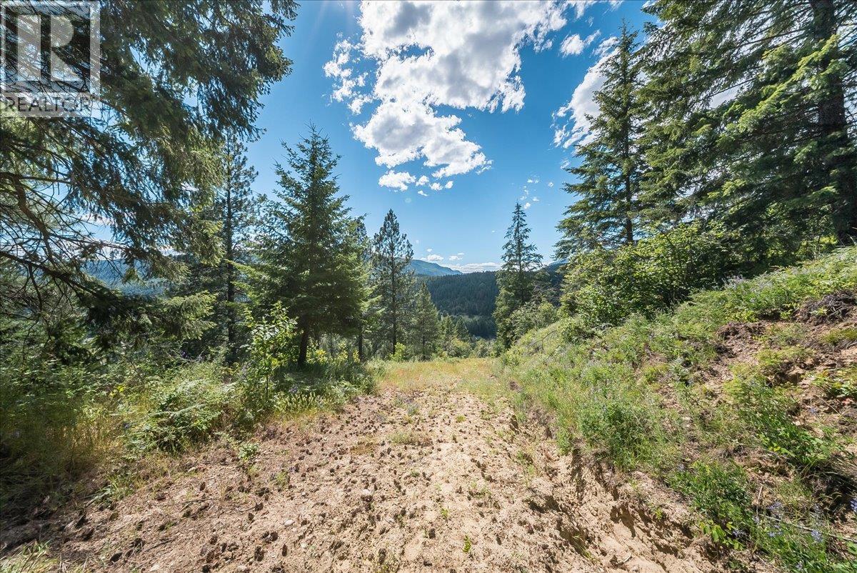 1385 Pass Creek Road, Castlegar, British Columbia  V1N 4S2 - Photo 16 - 10393109