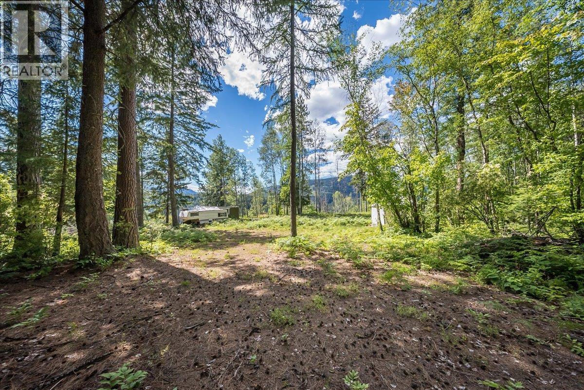 1385 Pass Creek Road, Castlegar, British Columbia  V1N 4S2 - Photo 10 - 10393109