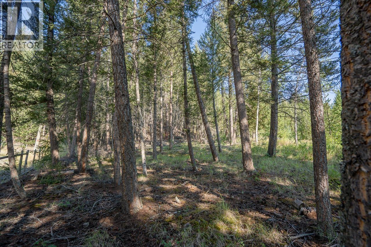 5472 Canim Hendrix Lake Road, 100 Mile House, British Columbia  V0K 2E0 - Photo 36 - R3155205