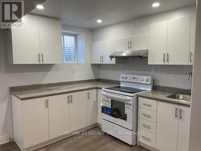 Bsmt - 2067 Old Mill Road, Kitchener, Ontario  N2P 1E4 - Photo 14 - X13674292