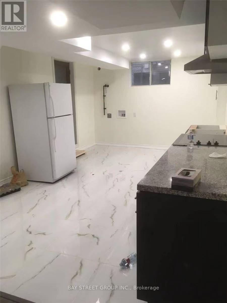 Bsmt - 191 Pleasant Avenue, Toronto, Ontario  M2M 1M4 - Photo 2 - C13674342