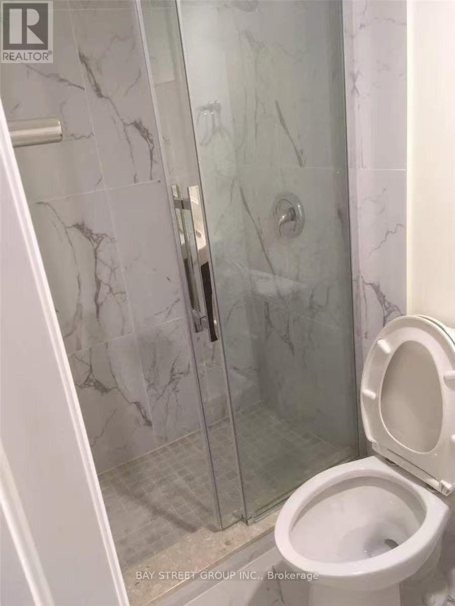 Bsmt - 191 Pleasant Avenue, Toronto, Ontario  M2M 1M4 - Photo 8 - C13674342