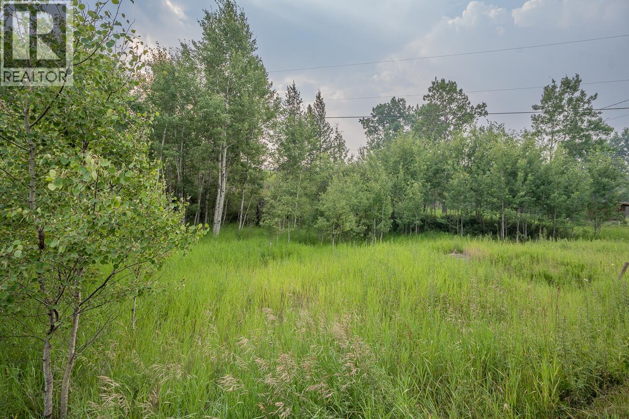 6111 Houseman Road, Forest Grove, British Columbia  V0K 1G0 - Photo 35 - R3155771