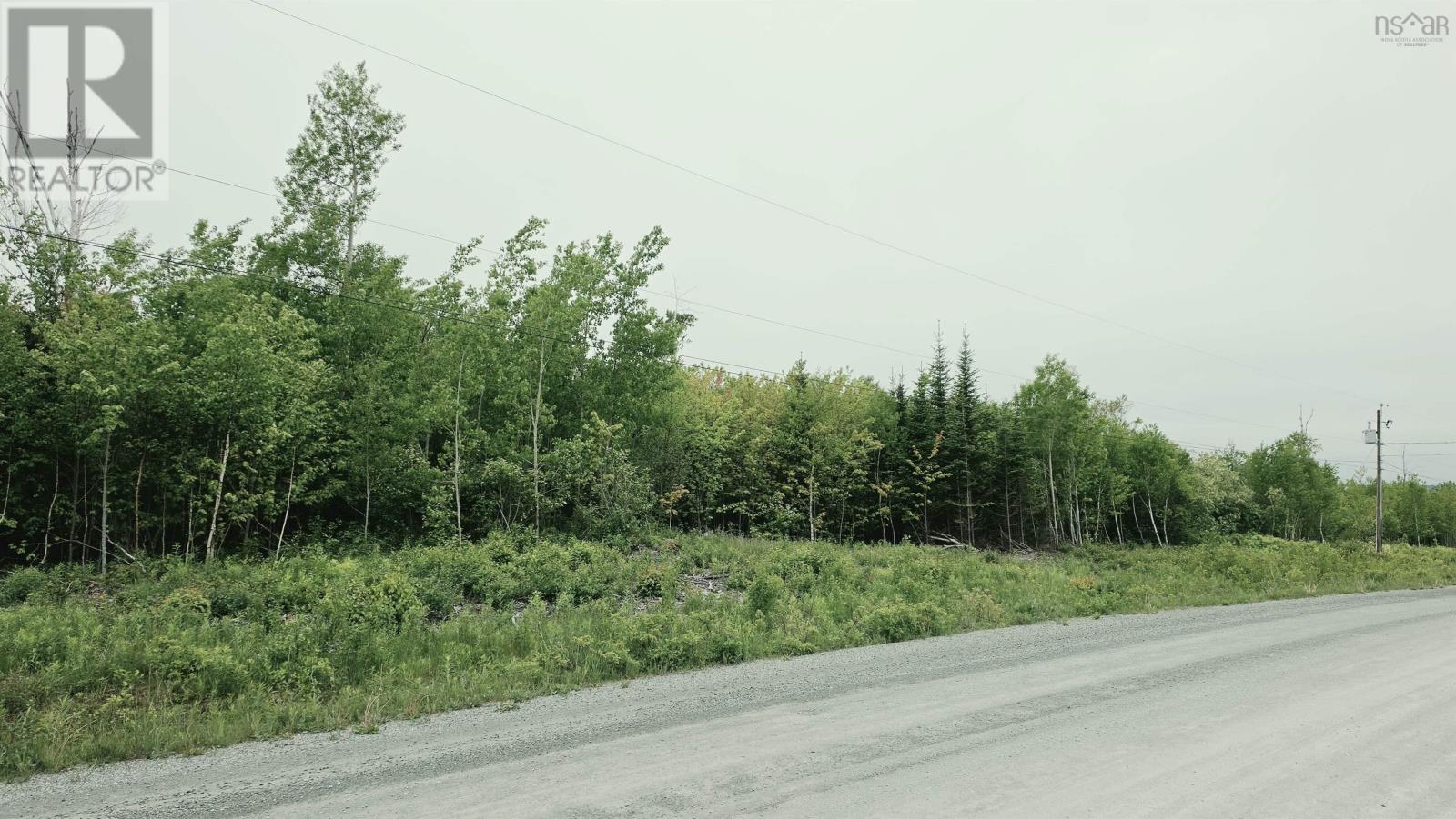 Lot Linwood Harbour Rd East Tracadie, Ns, East Tracadie, Nova Scotia  B0H 1M0 - Photo 4 - 202614597