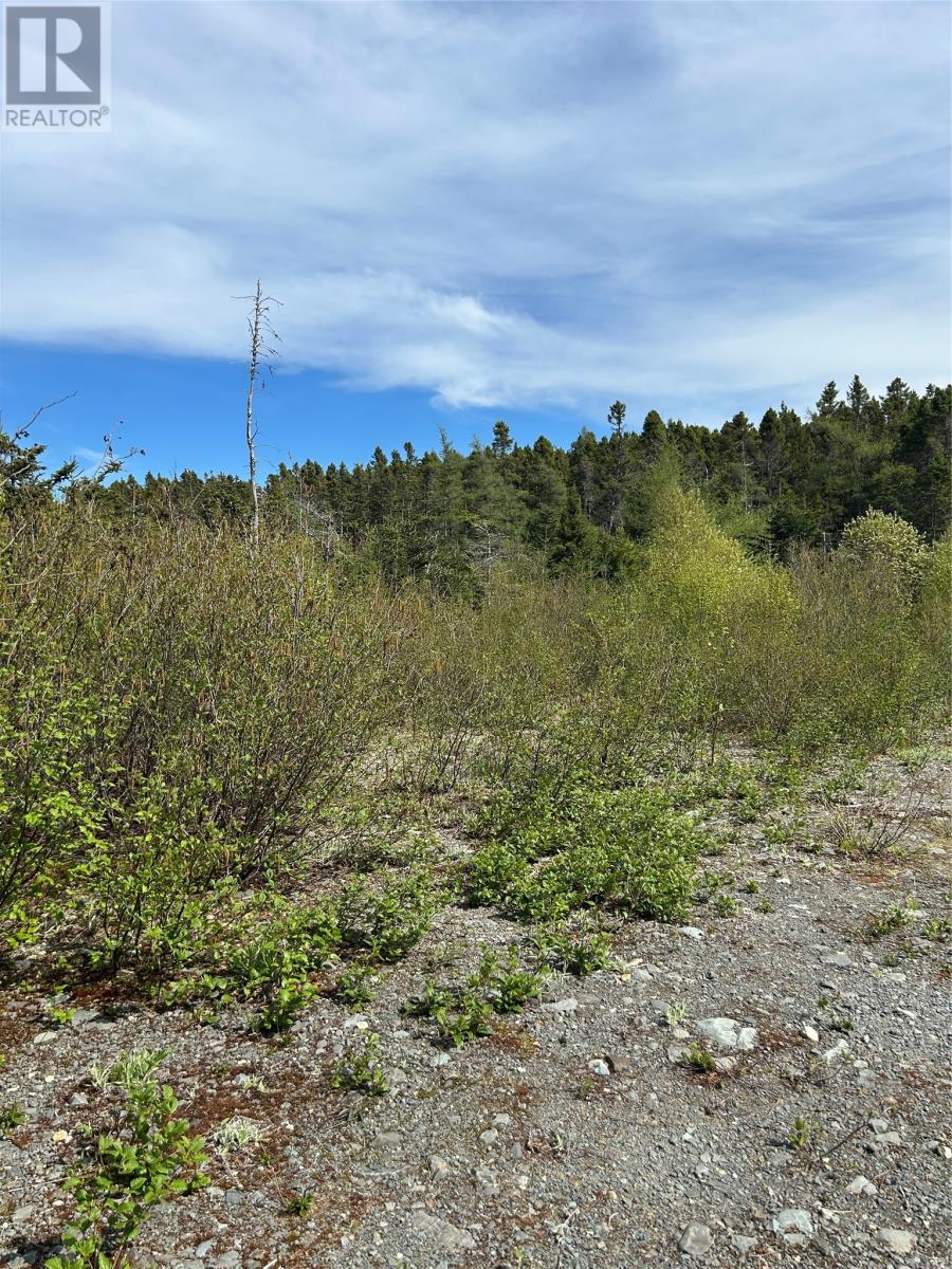 20 Ryan Road, Spaniard's bay — photo 3