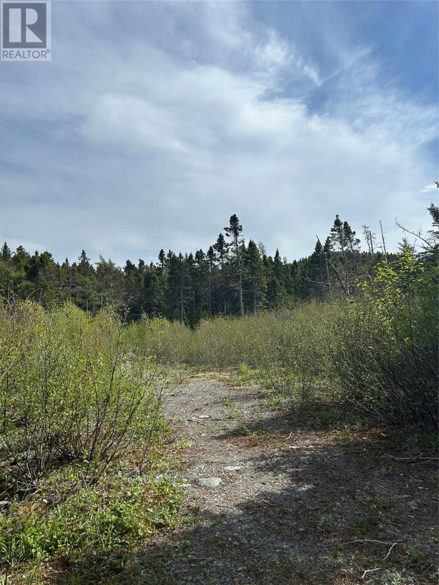 20 Ryan Road, Spaniard's bay — photo 4
