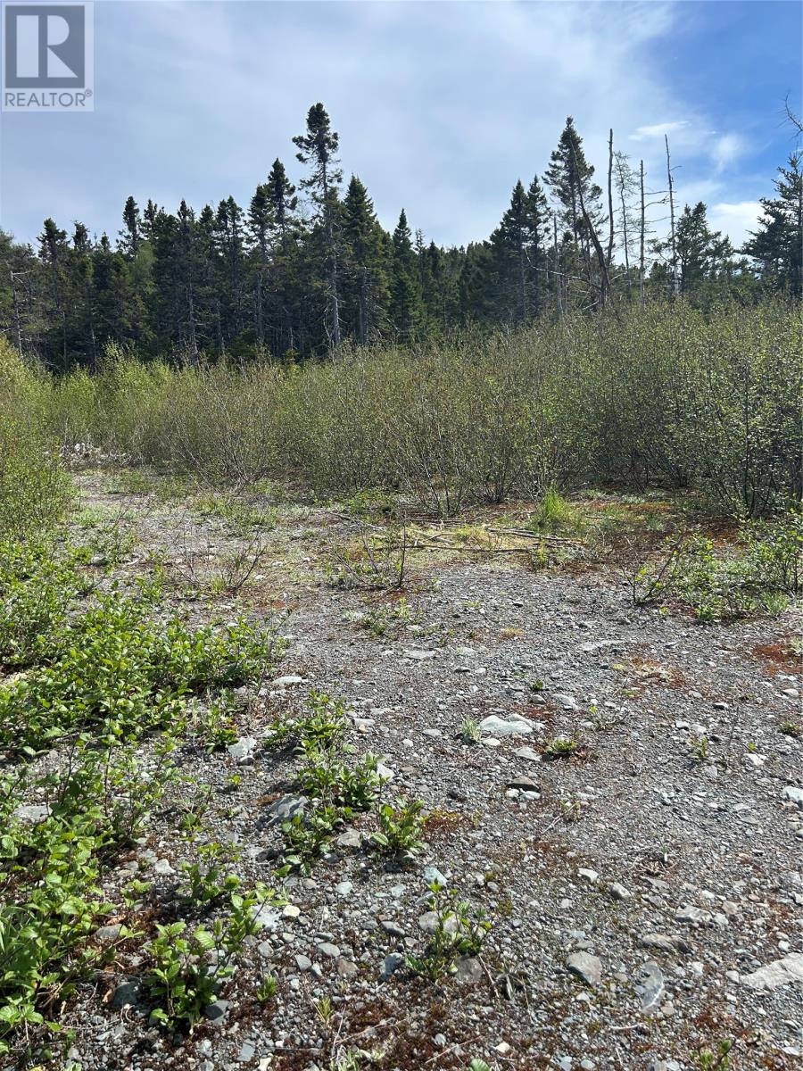 20 Ryan Road, Spaniard's bay — photo 5