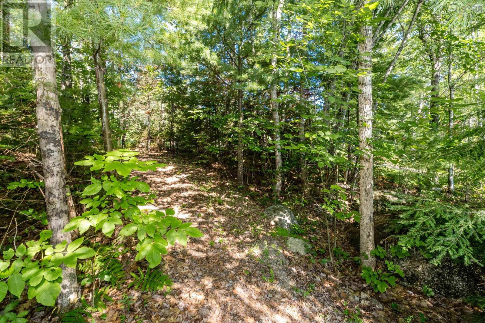 56 15 Morning Lane, Vaughan, Nova Scotia  B0N 2T0 - Photo 40 - 202620273