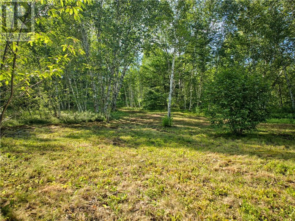 0 Highway 537 Highway, Wahnapitae, Ontario  P0M 3C0 - Photo 33 - 2129774