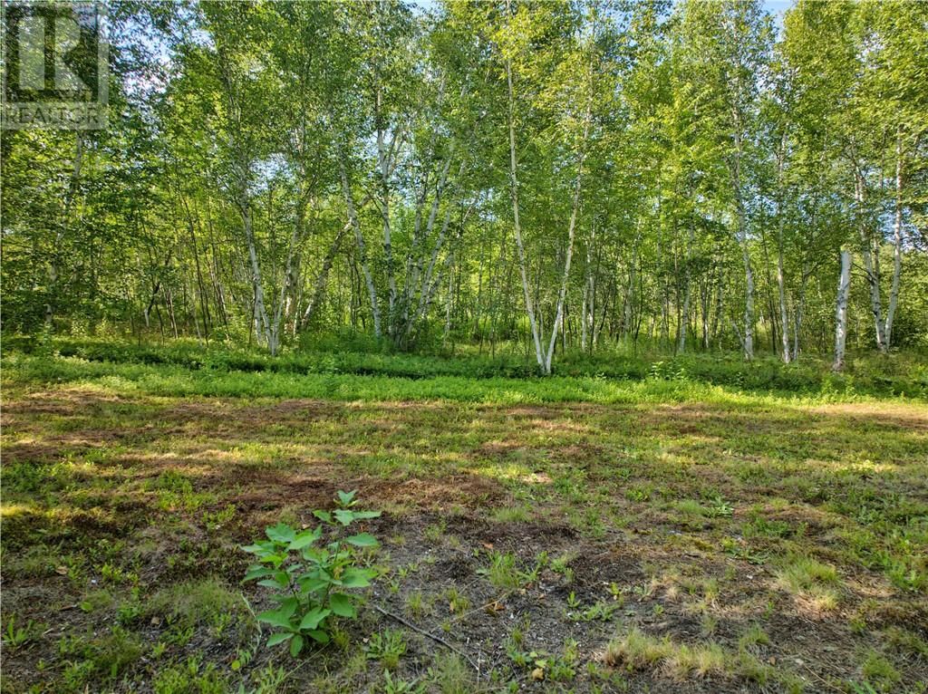 0 Highway 537 Highway, Wahnapitae, Ontario  P0M 3C0 - Photo 34 - 2129774
