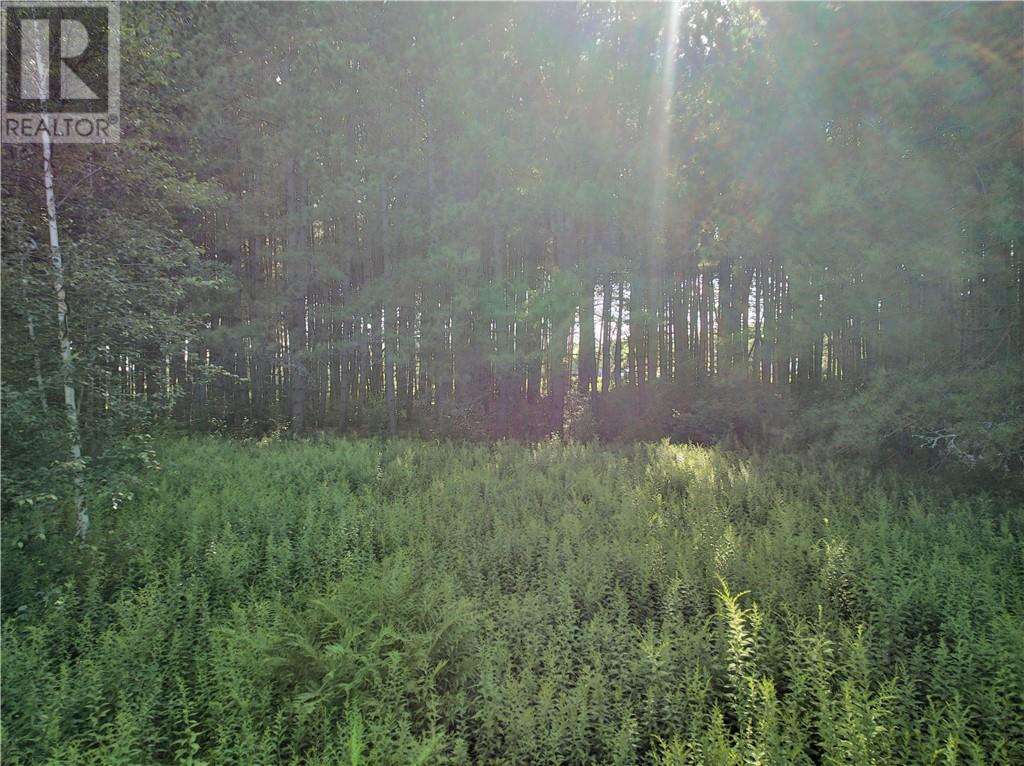 0 Highway 537 Highway, Wahnapitae, Ontario  P0M 3C0 - Photo 36 - 2129774