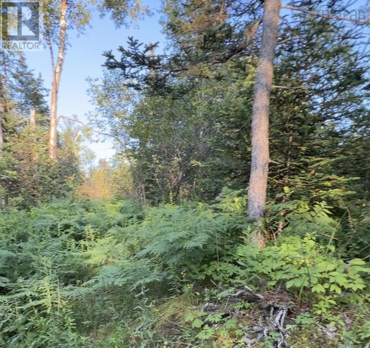 Lot French Cross Road, Morden, Nova Scotia  B0P 1C0 - Photo 4 - 202620331