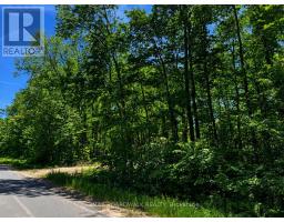 0 BUCKSHOT LAKE ROAD, Addington Highlands, Ontario