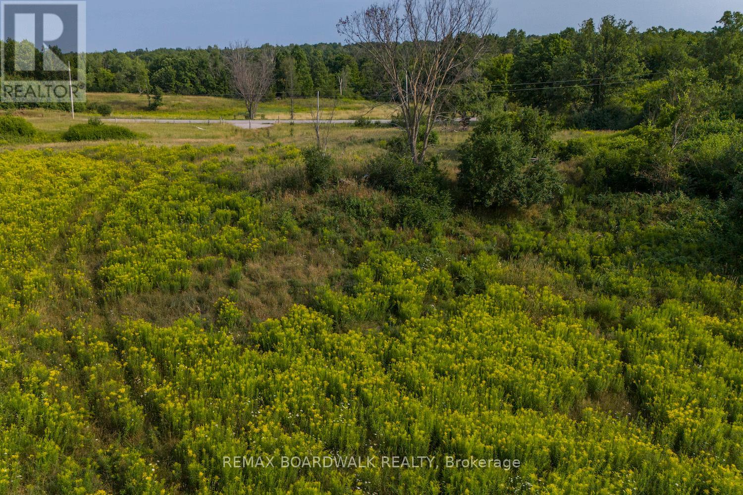 816 Bennett Lake Road, Tay Valley, Ontario  K0G 1A0 - Photo 3 - X13631734