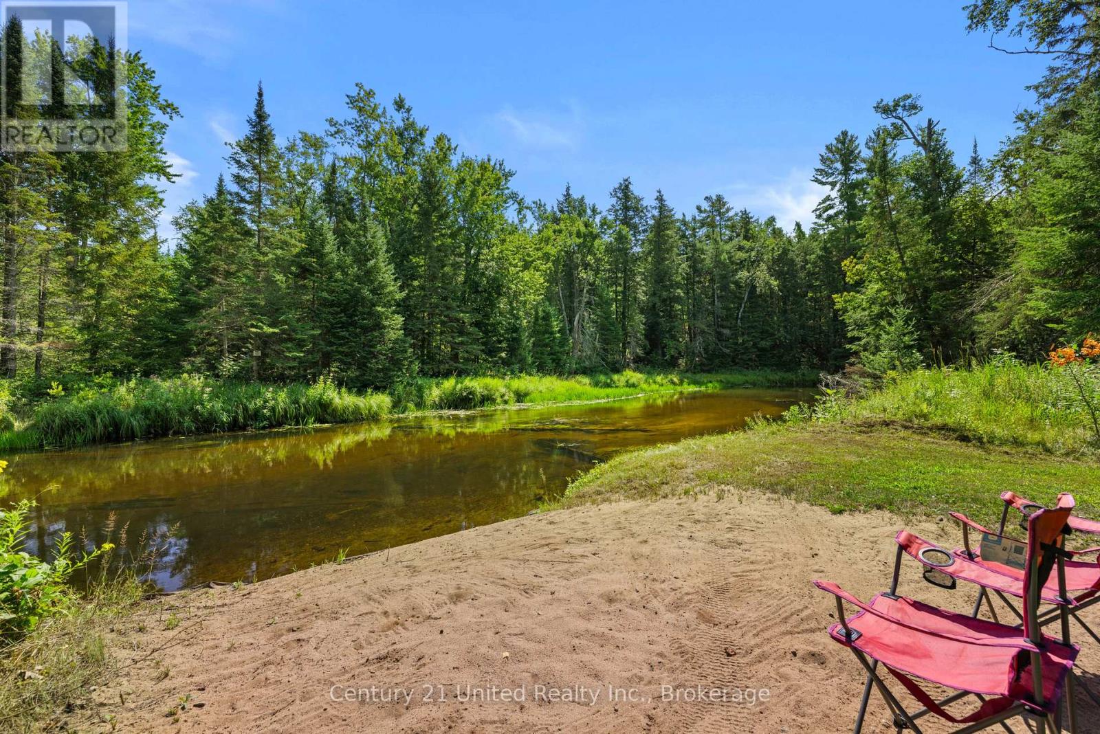 9015 Highway 28, North Kawartha, Ontario  K0L 1A0 - Photo 4 - X13674944