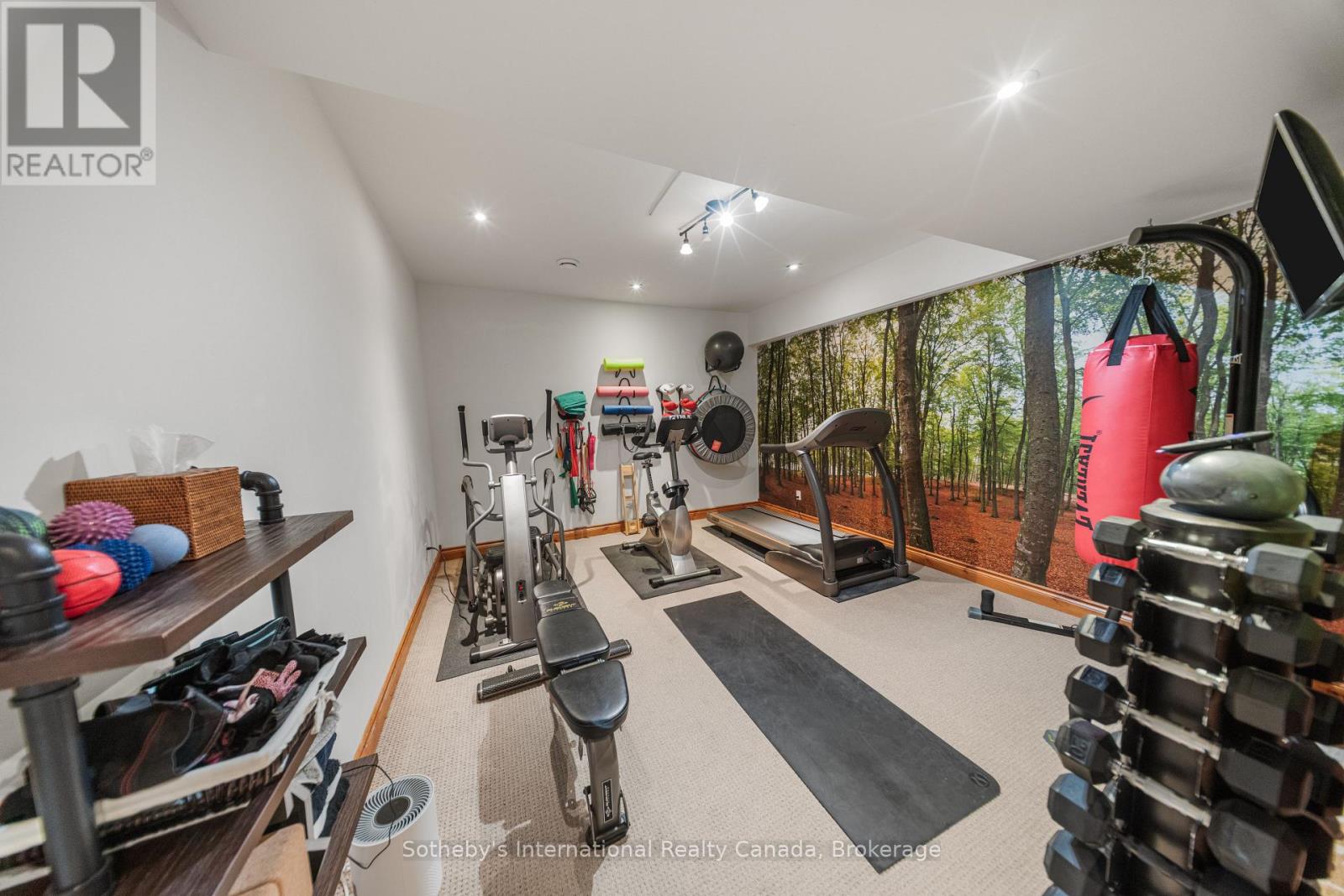 743 Skyhills Road, Huntsville, Ontario  P1H 2N5 - Photo 44 - X13569560