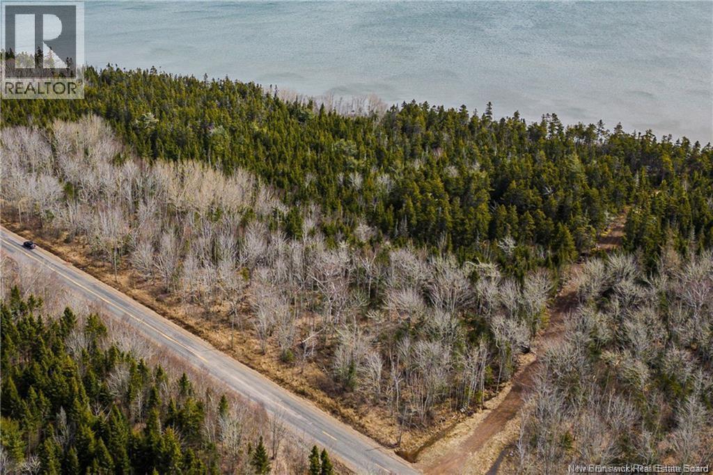 Lot 24-1 Route 960, Upper Cape, New Brunswick  E4M 2S4 - Photo 6 - NB146044