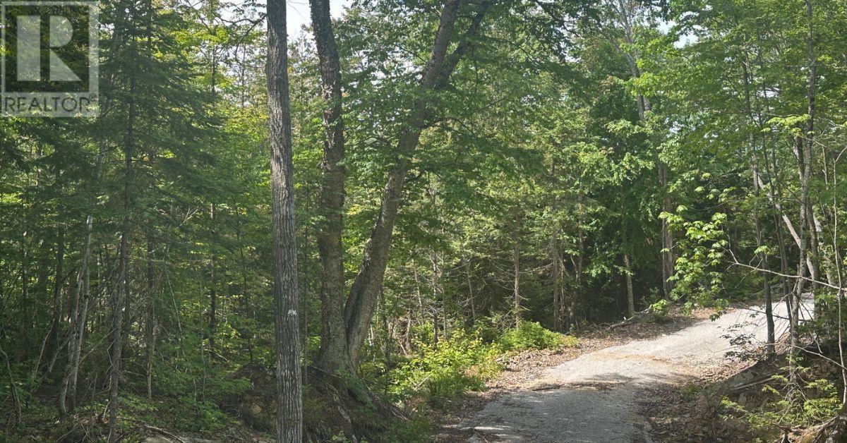 000 Lower Island Lake Rd, Aweres Township, Ontario P6A 5K7 - Photo 10 - SM262182