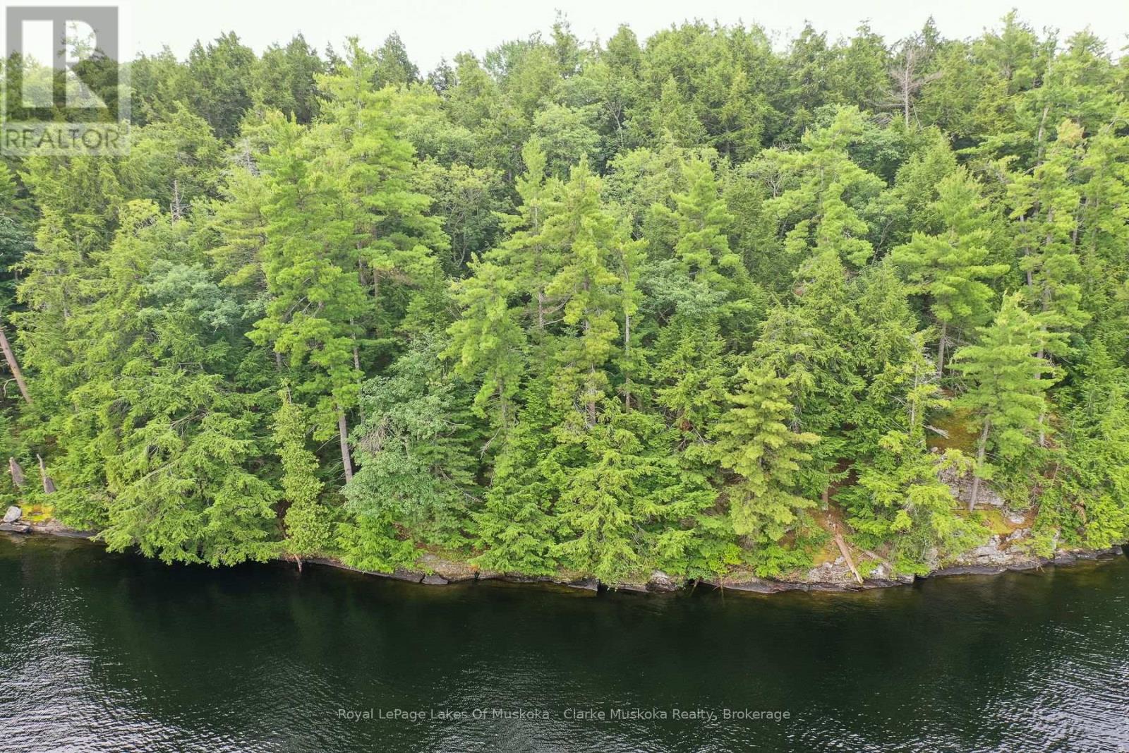 0 Muskoka Lake, Muskoka Lakes (Wood (Muskoka Lakes)), Ontario  P0C 1A0 - Photo 10 - X13675104