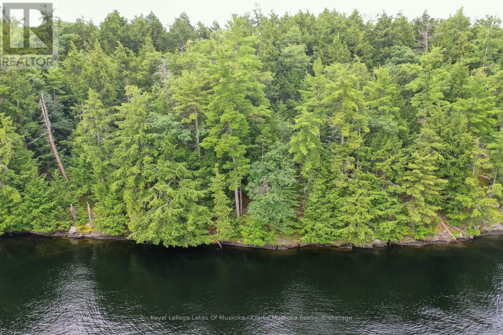 0 Muskoka Lake, Muskoka Lakes (Wood (Muskoka Lakes)), Ontario  P0C 1A0 - Photo 11 - X13675104