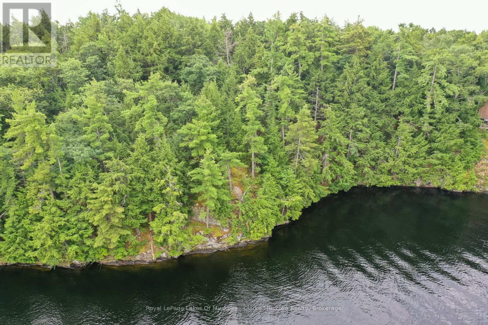 0 Muskoka Lake, Muskoka Lakes (Wood (Muskoka Lakes)), Ontario  P0C 1A0 - Photo 9 - X13675104