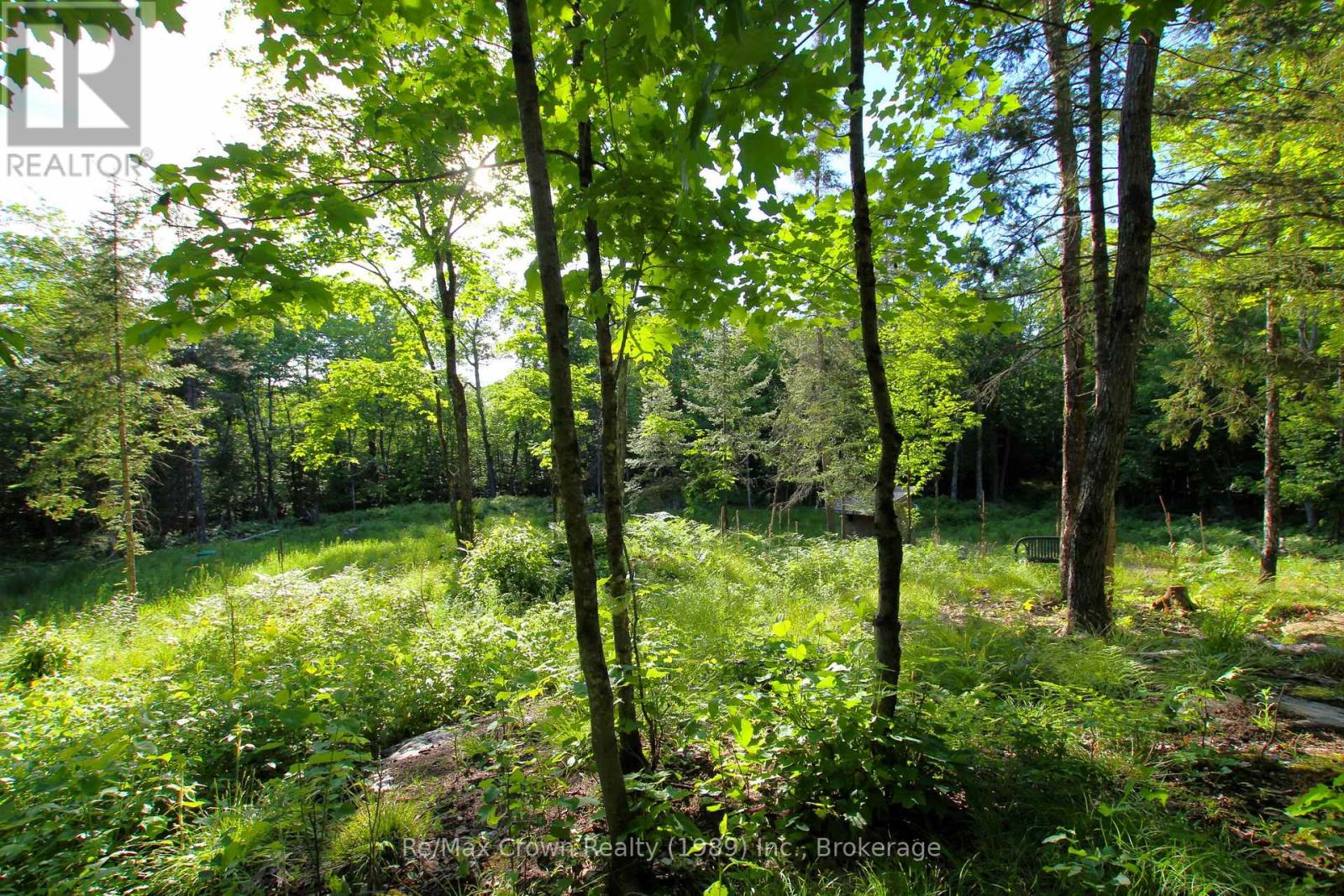 453 Pilgers Road, Nipissing, Ontario  P0H 1W0 - Photo 7 - X13675252