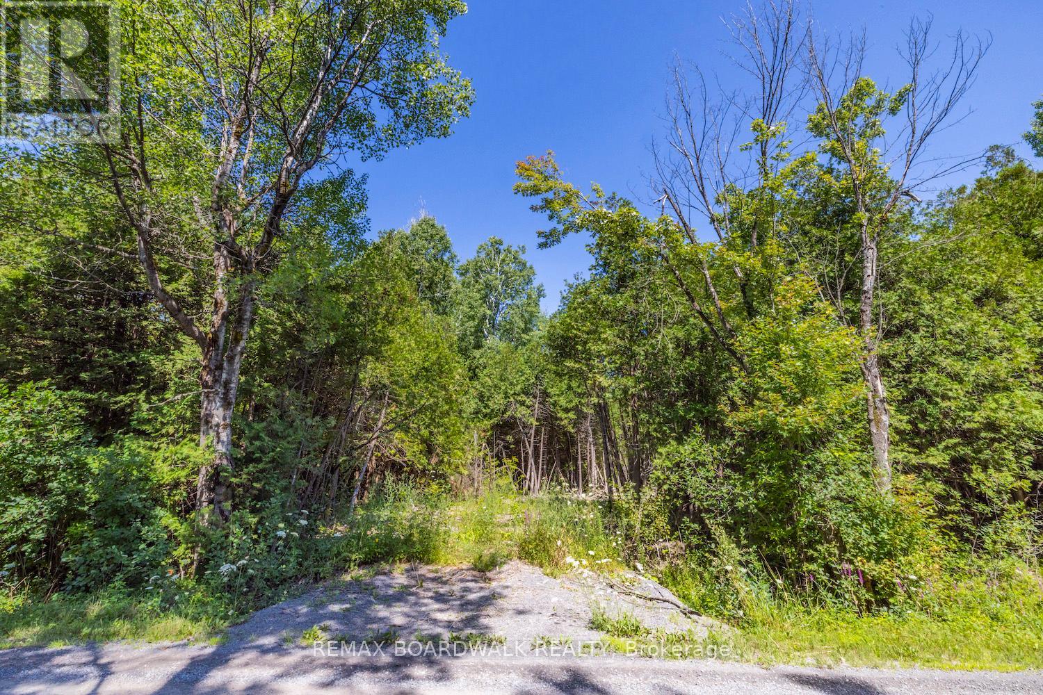 0 Forbes Road, North Grenville, Ontario  K0G 1N0 - Photo 15 - X13069758