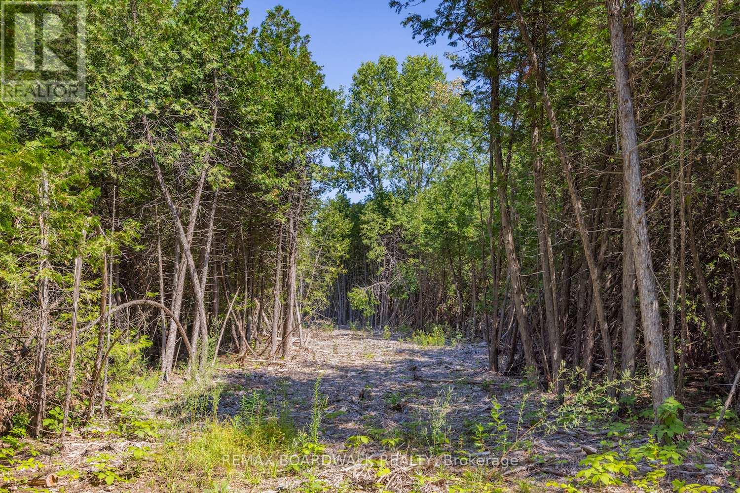 0 Forbes Road, North Grenville, Ontario K0G 1N0 - Photo 2 - X13069758