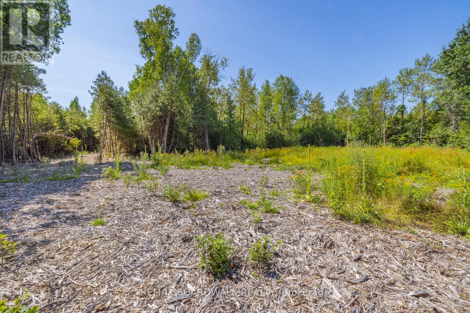 0 Forbes Road, North Grenville, Ontario  K0G 1N0 - Photo 9 - X13069758