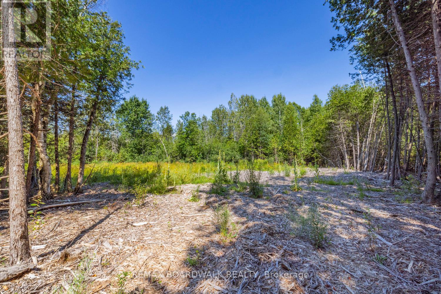 0 Forbes Road, North Grenville, Ontario K0G 1N0 - Photo 6 - X13069758