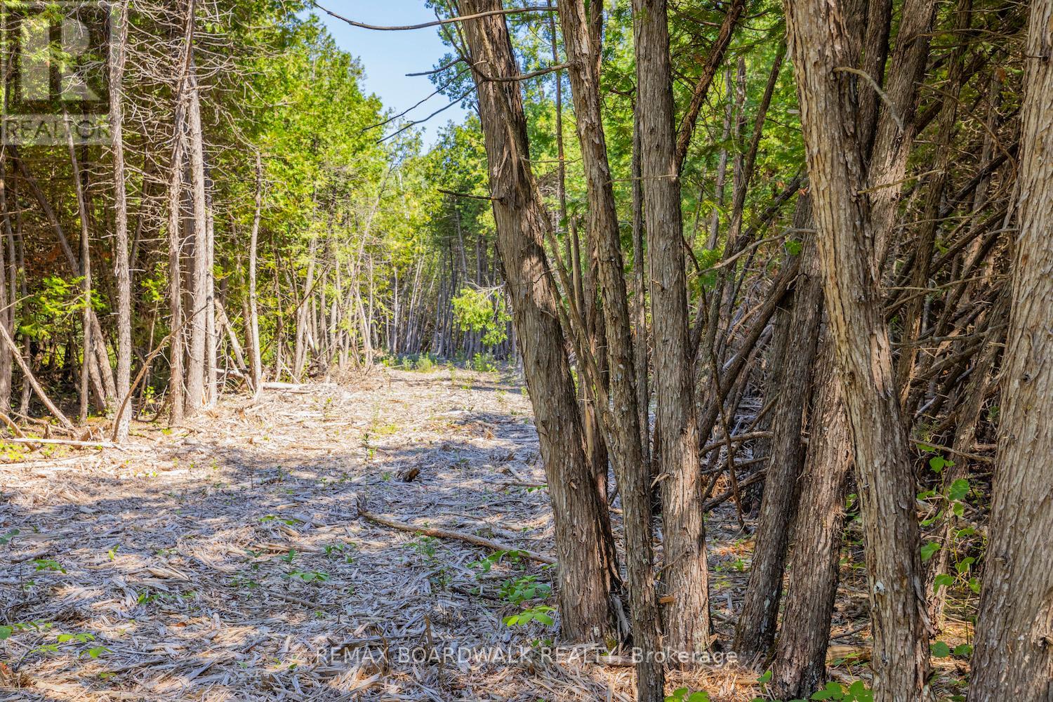 0 Forbes Road, North Grenville, Ontario K0G 1N0 - Photo 4 - X13069758