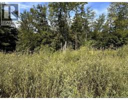 22 Orchard Avenue, Irishtown, New Brunswick