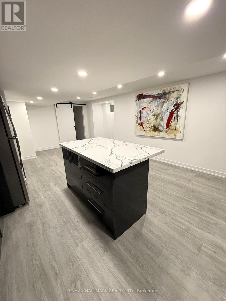 Bsmnt - 1190 Dovercourt Road, Toronto, Ontario  M6H 2X9 - Photo 3 - W13675434