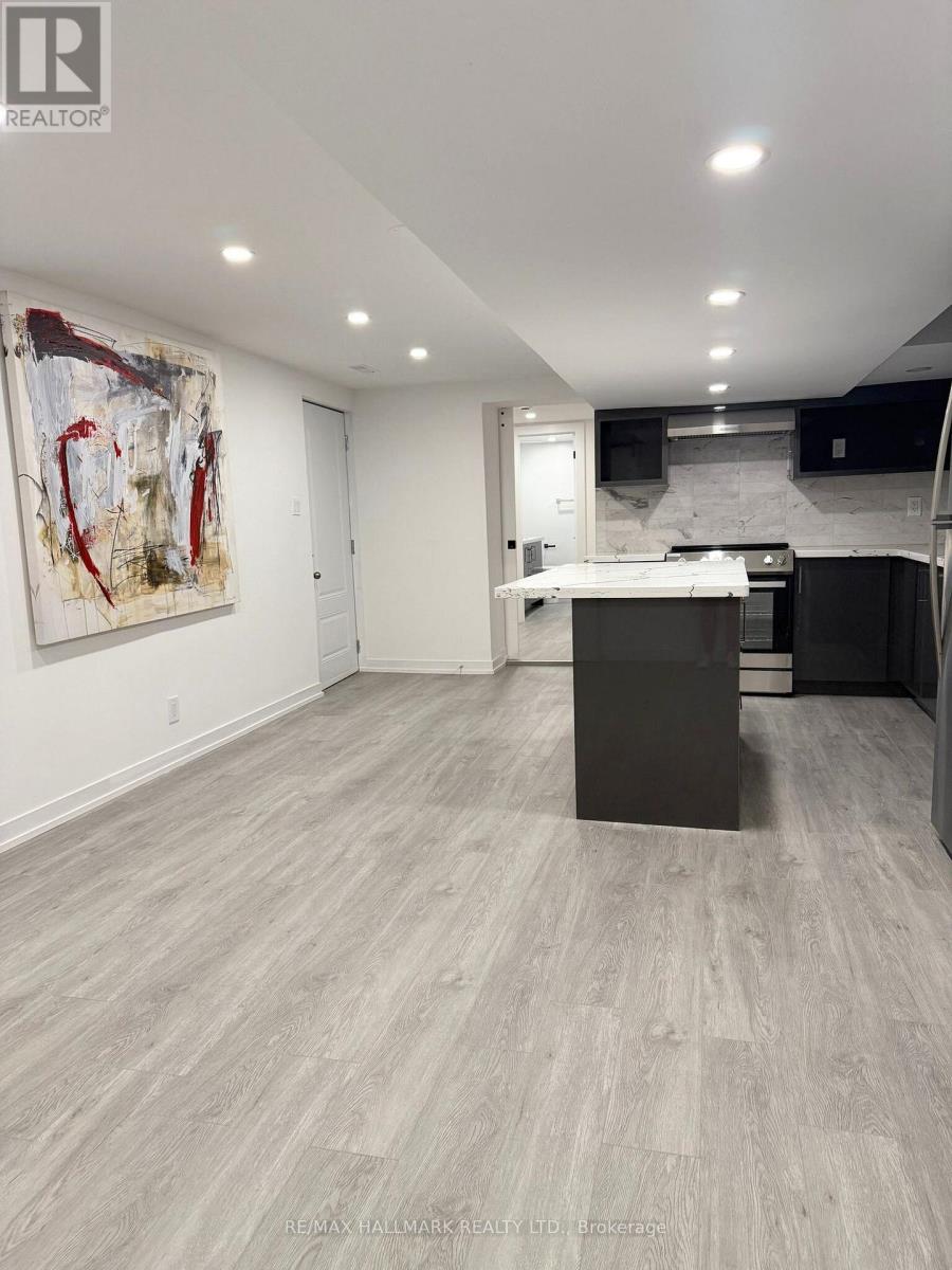 Bsmnt - 1190 Dovercourt Road, Toronto, Ontario  M6H 2X9 - Photo 4 - W13675434