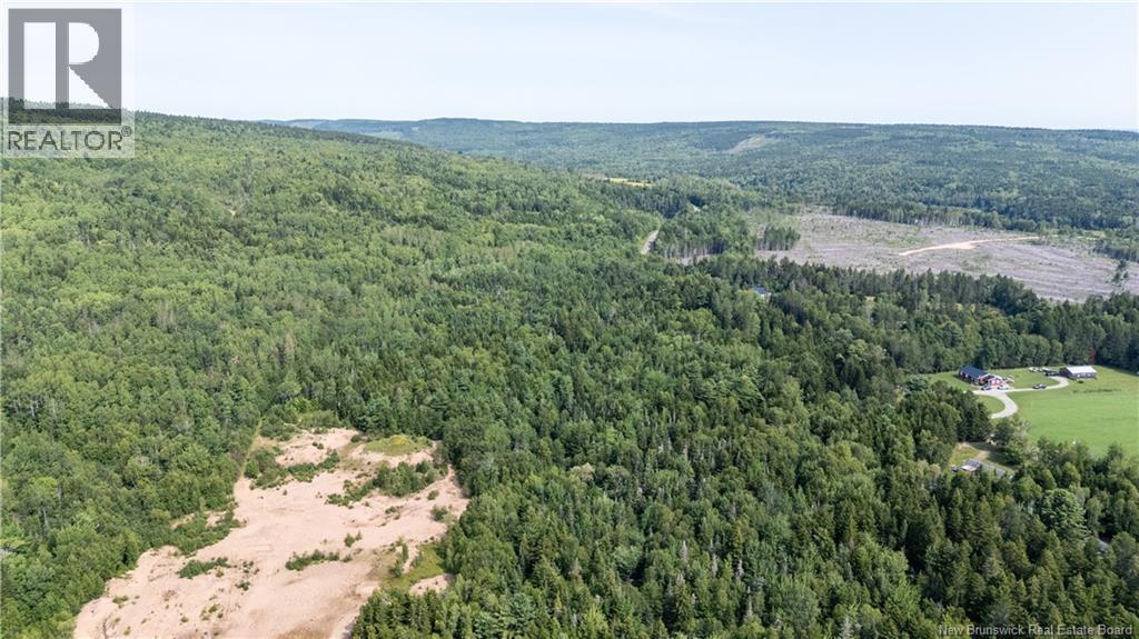 1266 Albert Mines Road, Lower Cape, New Brunswick  E4H 1X1 - Photo 9 - NB136859