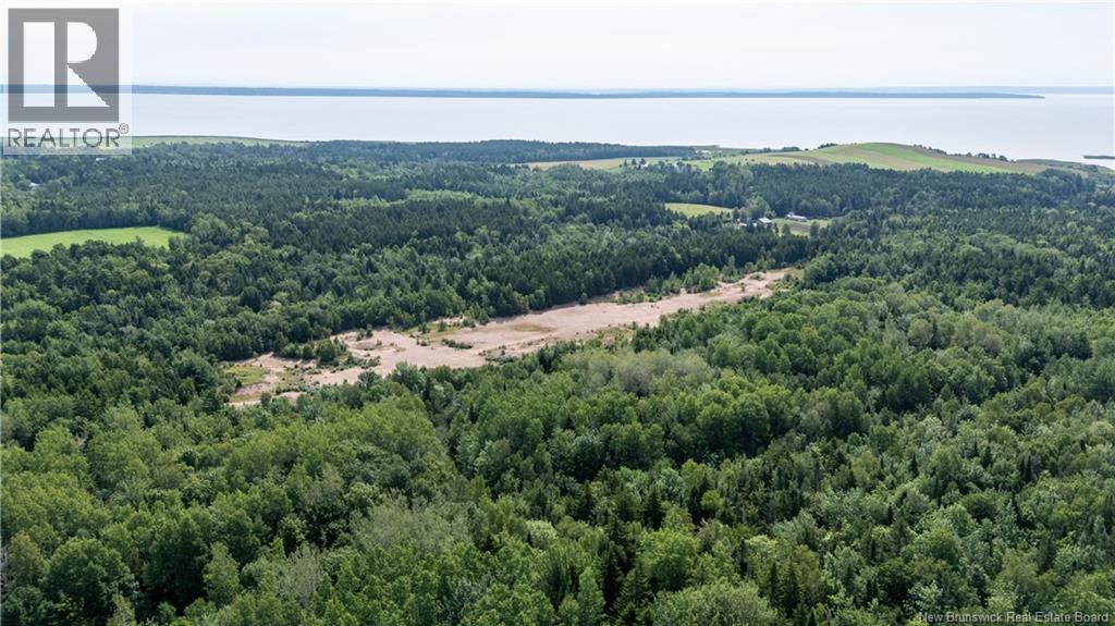 1266 Albert Mines Road, Lower Cape, New Brunswick  E4H 1X1 - Photo 8 - NB136859